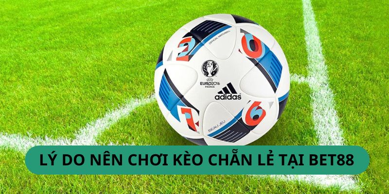 Bet88 là lựa chọn hợp lý để chơi kèo chẵn lẻ