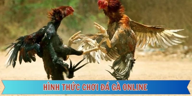 Khám phá những trò đá gà đang phổ biến trên nền tảng