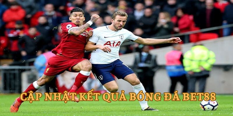 Xem kết quả bóng đá Bet88 được đánh giá cao