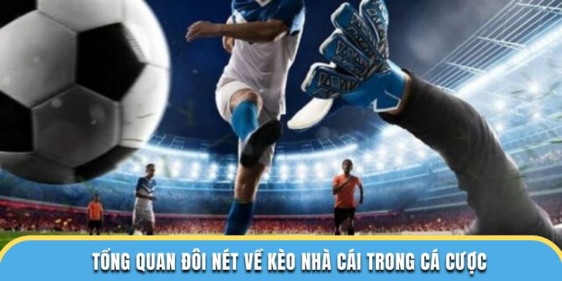 Tổng quan đôi nét về kèo nhà cái trong cá cược