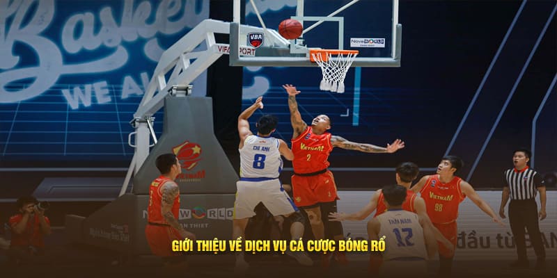 Giới thiệu về dịch vụ cá cược bóng rổ