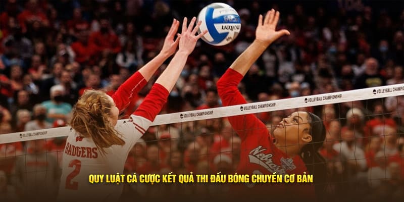Quy luật cá cược kết quả thi đấu bóng chuyền cơ bản