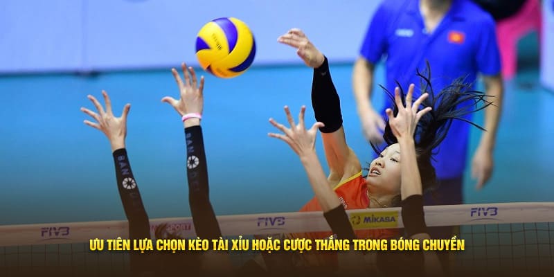 Ưu tiên lựa chọn kèo Tài Xỉu hoặc cược thắng trong bóng chuyền